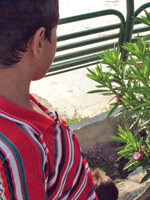 کودکان خیابانی چهره شهر زیبای اصفهان را زشت کرده است