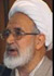 حجت‌الاسلام و المسلمین مهدی کروبی با اعضای شورای مرکزی استان وشهرستان‌های کردستان دیدار کرد.