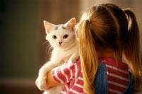 اينترنت گربه چهار گوش را مشهور كرد