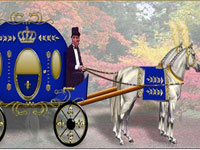 اشکالی ندارد اسب‌ها عادت می‌کنند